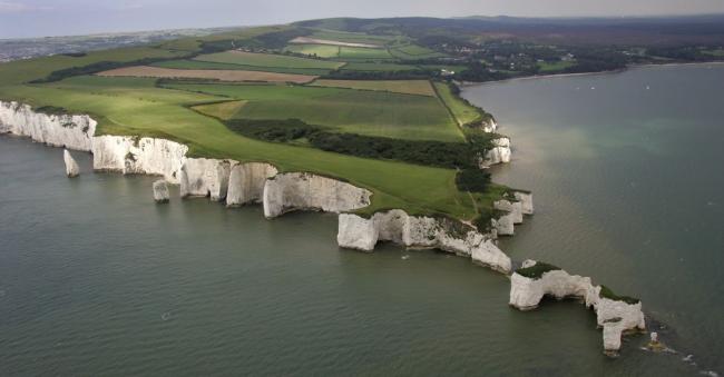 Delivery to East Dorset